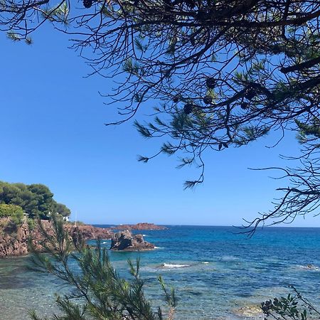Studio Climatise Avec Piscine Saint-Raphaël Esterno foto