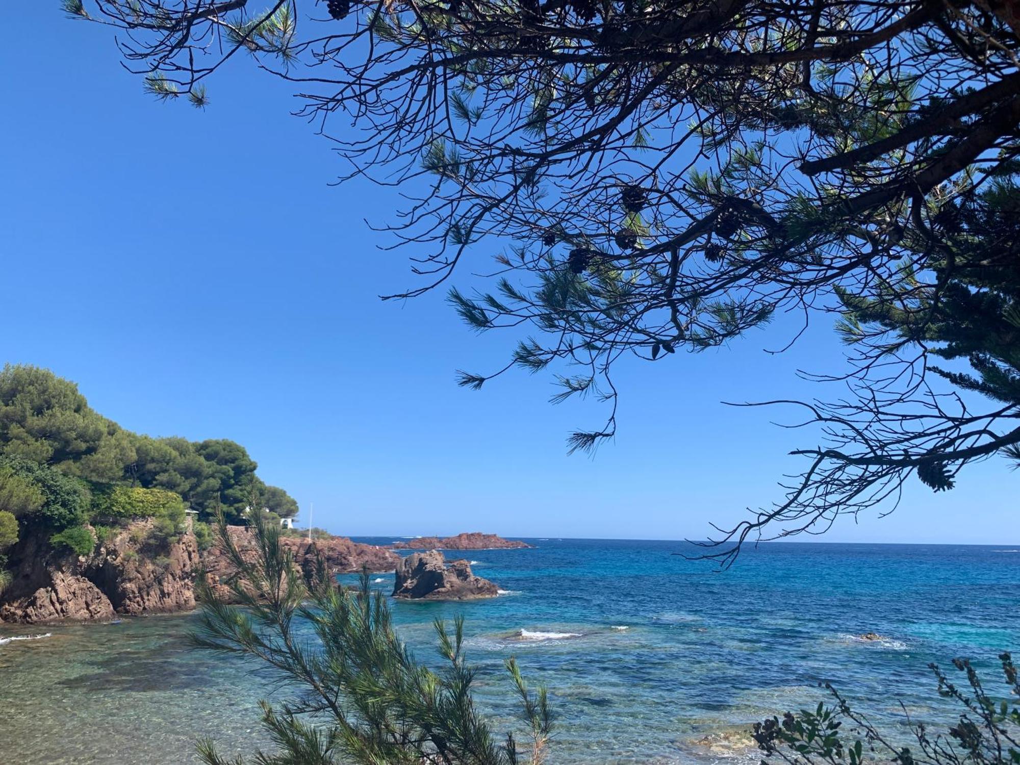 Studio Climatise Avec Piscine Saint-Raphaël Esterno foto